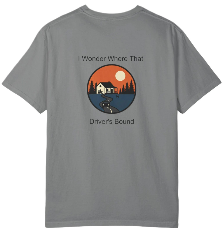 Widespread Panic - Driving Song